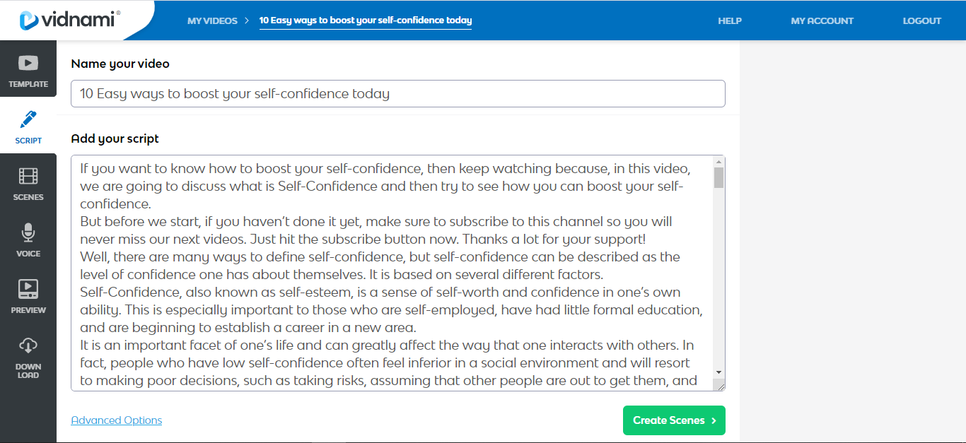 Vidnami video creator review
